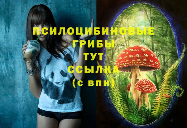 прущая мука Дмитров