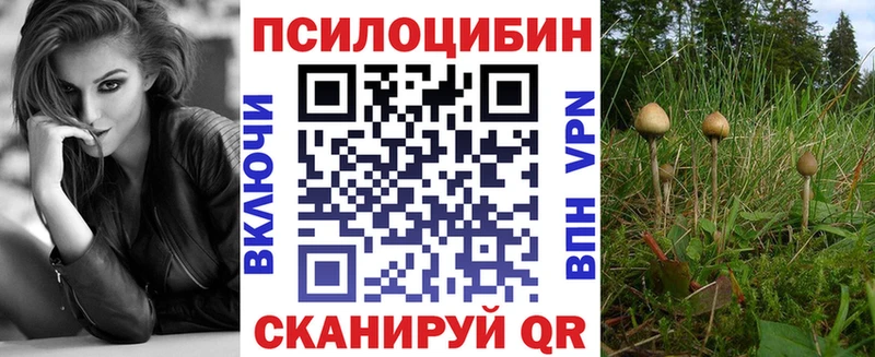 Купить где  Томмот  Псилоцибиновые грибы мицелий 